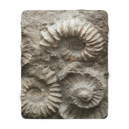 Ammonite fossil Sherpa Fleece Blanket