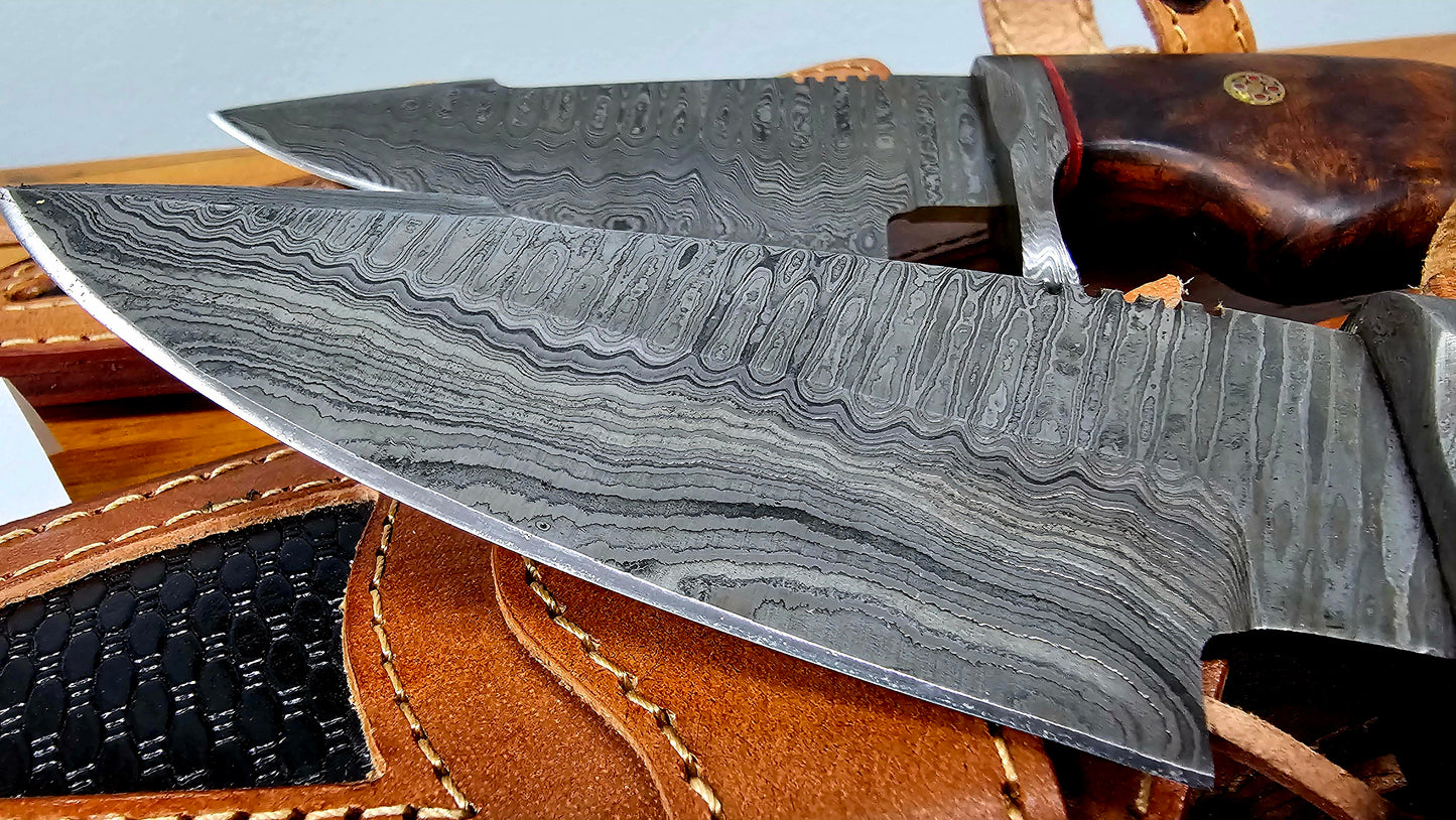 Damascus Steel Hunting/Camping Knife bluewood or walnut handle