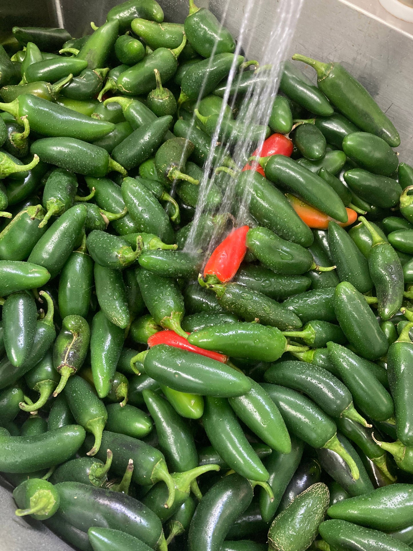Smoked Jalapeno Pepper Jelly Whisky Ridge Farm