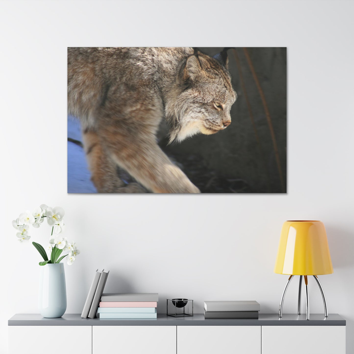 Lynx in the Wild Canvas Gallery Wraps