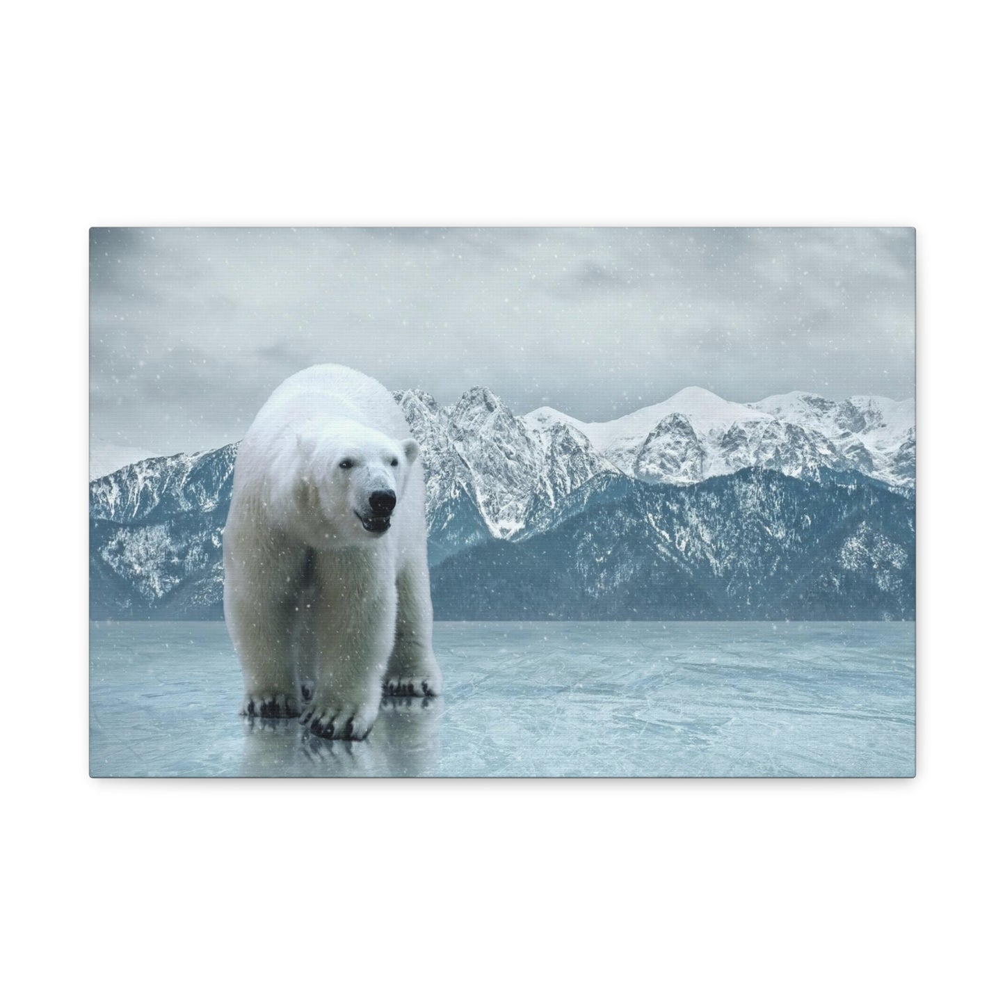 Polar Bear Canvas Gallery Wraps