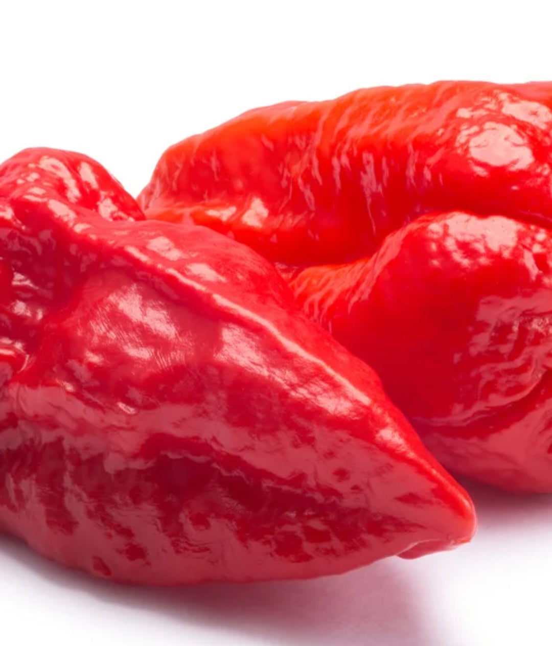 Ghost Pepper Ground township 27