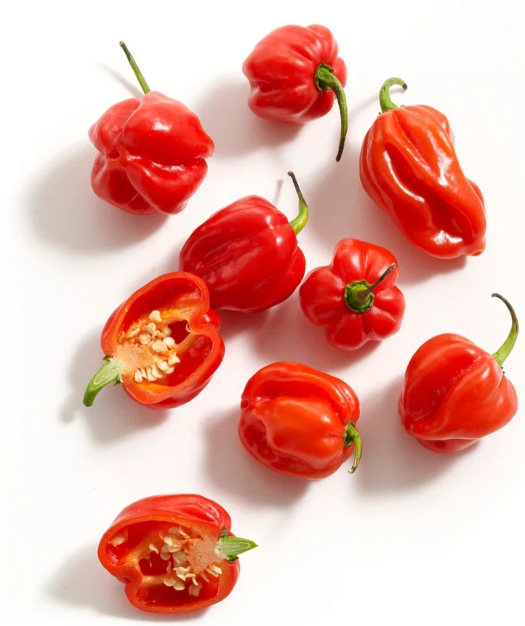 Habanero Chilies Ground township 27