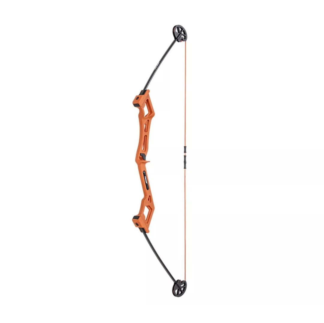 Bear Archery - Valiant RH Bow big rock