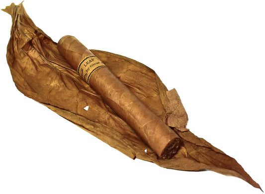 Oscar Valladares Leaf Connecticut Cigar