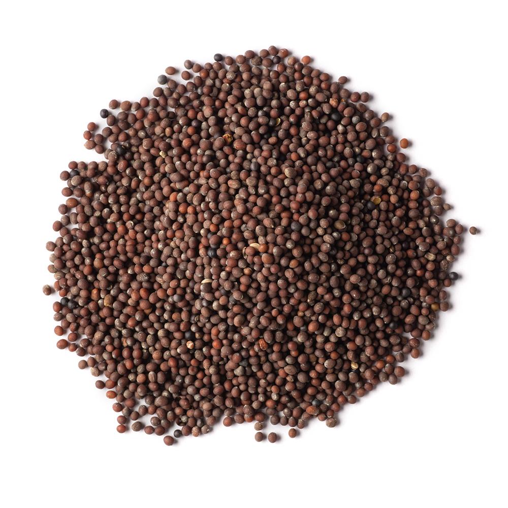 Mustard Seed Brown township 27