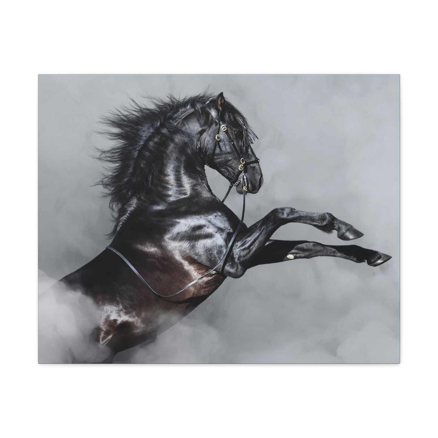 Black Horse rearing in Fog - Canvas