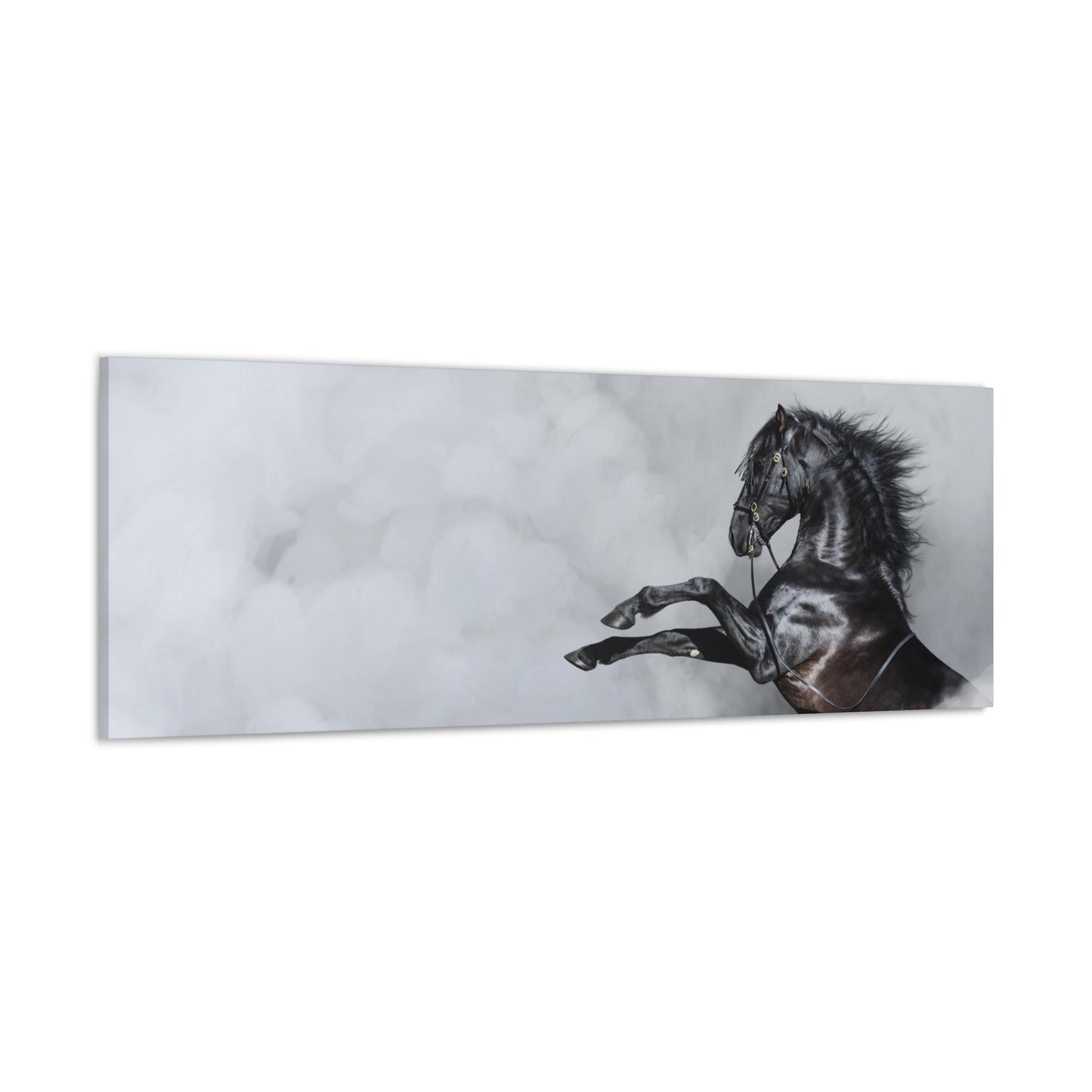 Black Horse in Fog - Canvas