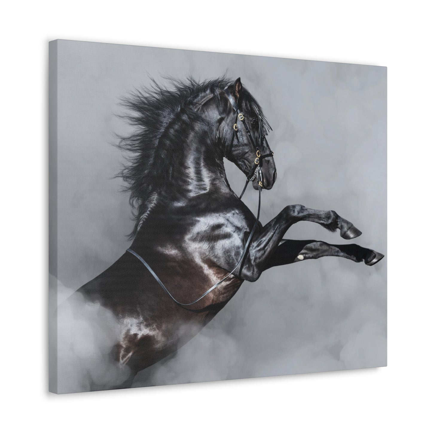 Black Horse rearing in Fog - Canvas