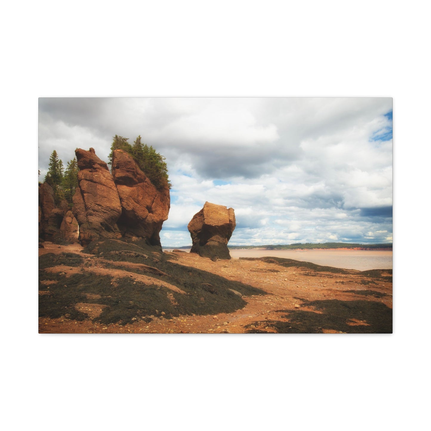 Hopewell Rocks New Brunswick Canvas Gallery Wraps