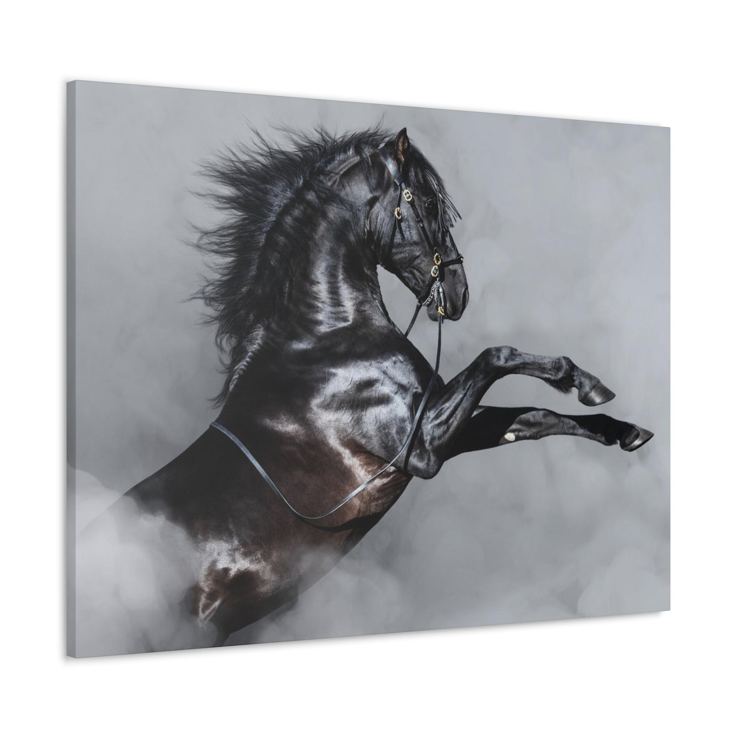 Black Horse rearing in Fog - Canvas