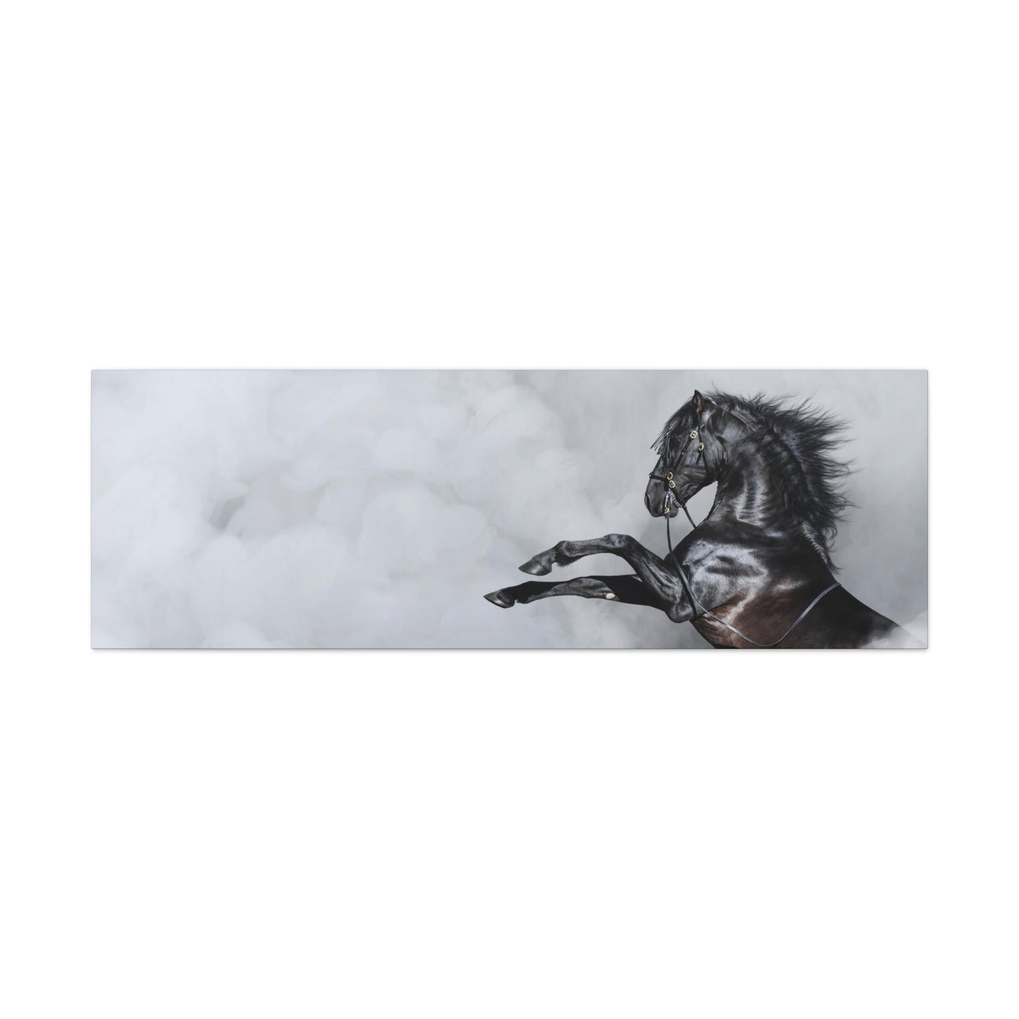Black Horse in Fog - Canvas