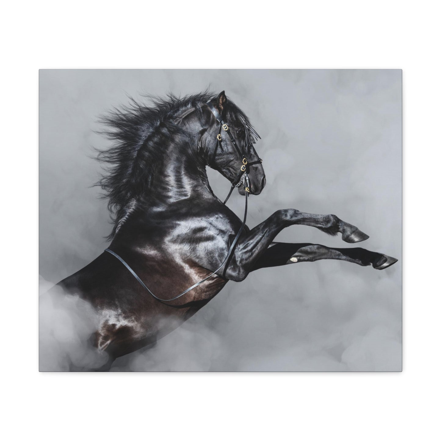 Black Horse rearing in Fog - Canvas