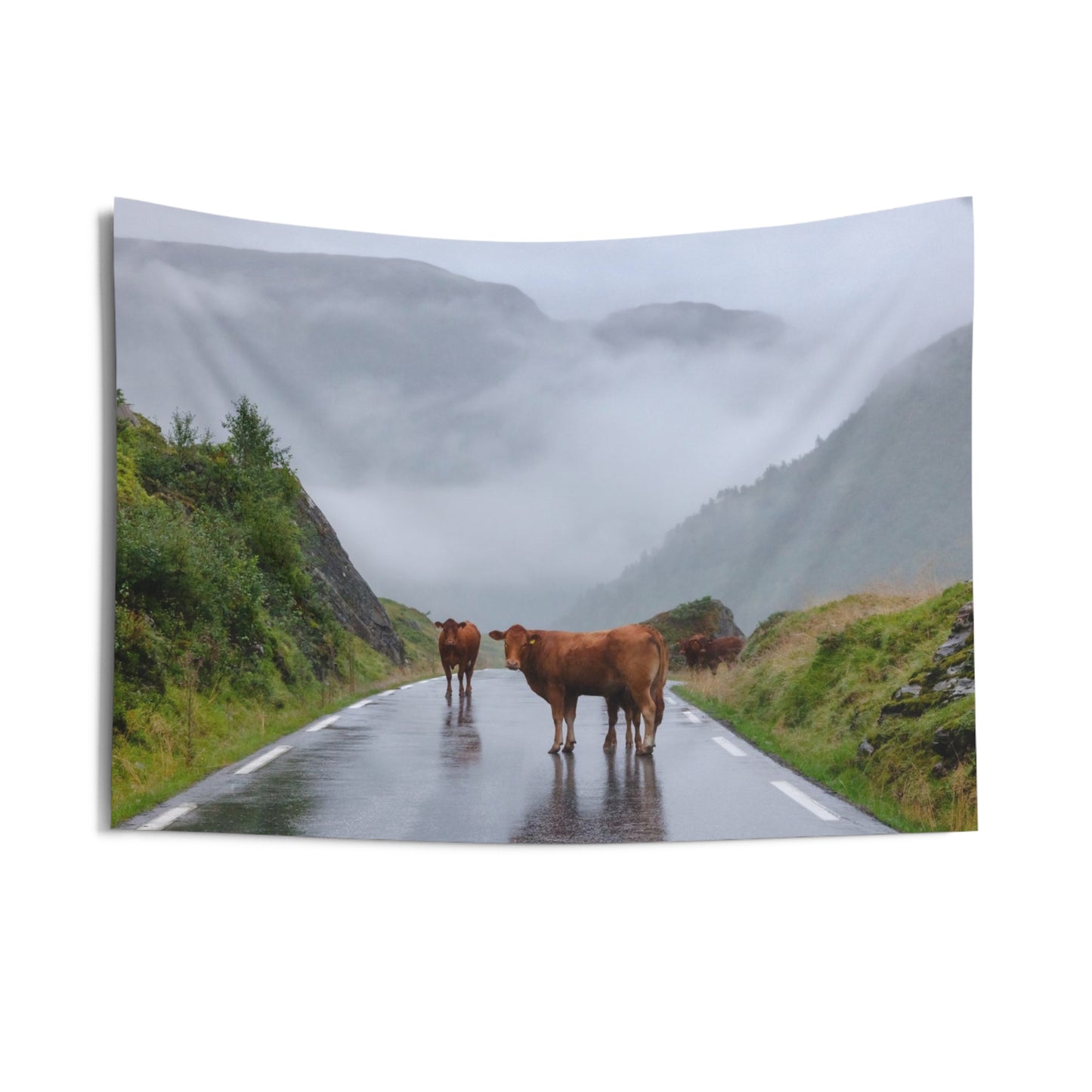 Alberta Cows Indoor Wall Tapestries