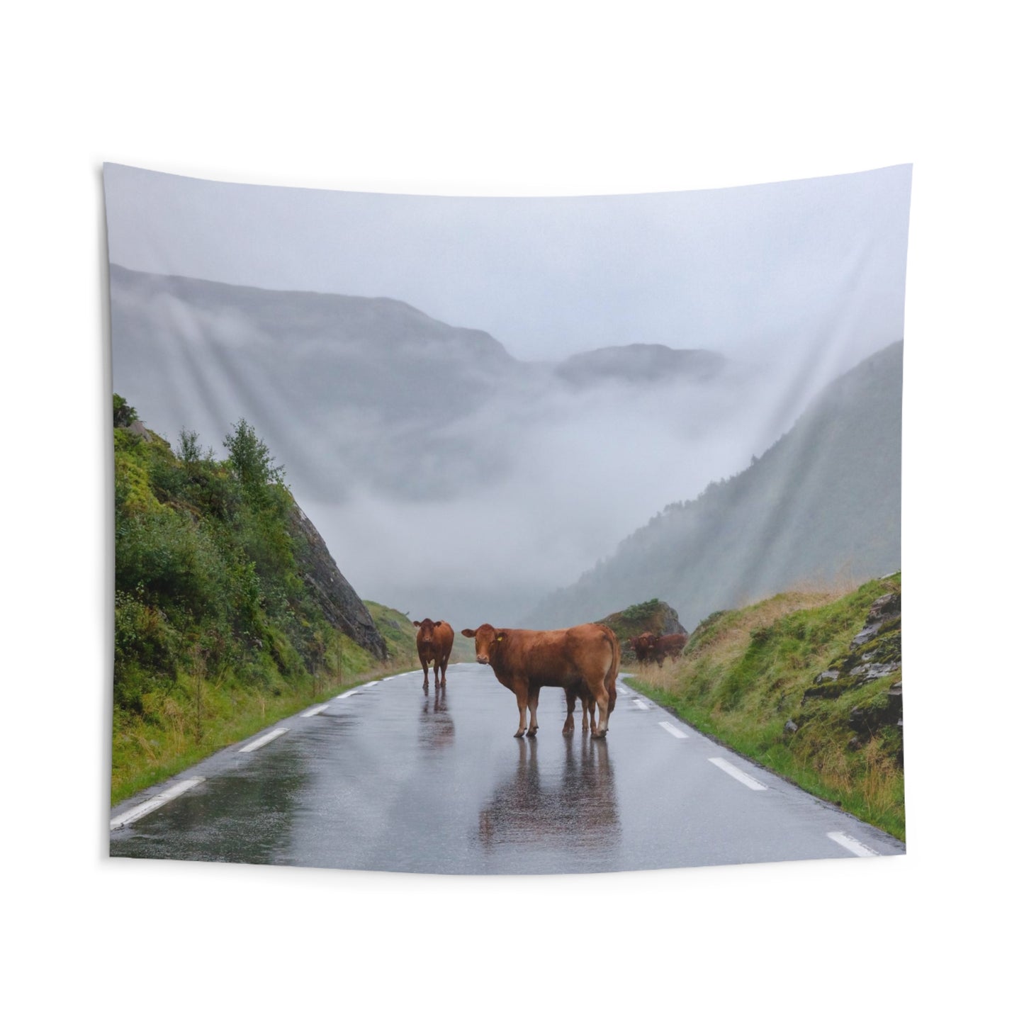 Alberta Cows Indoor Wall Tapestries