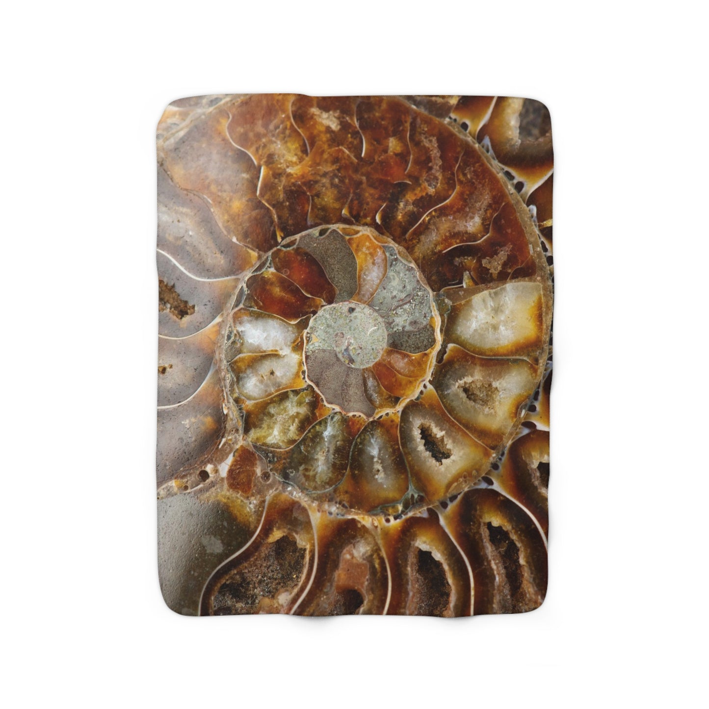 Ammonite Fossil Sherpa Fleece Blanket