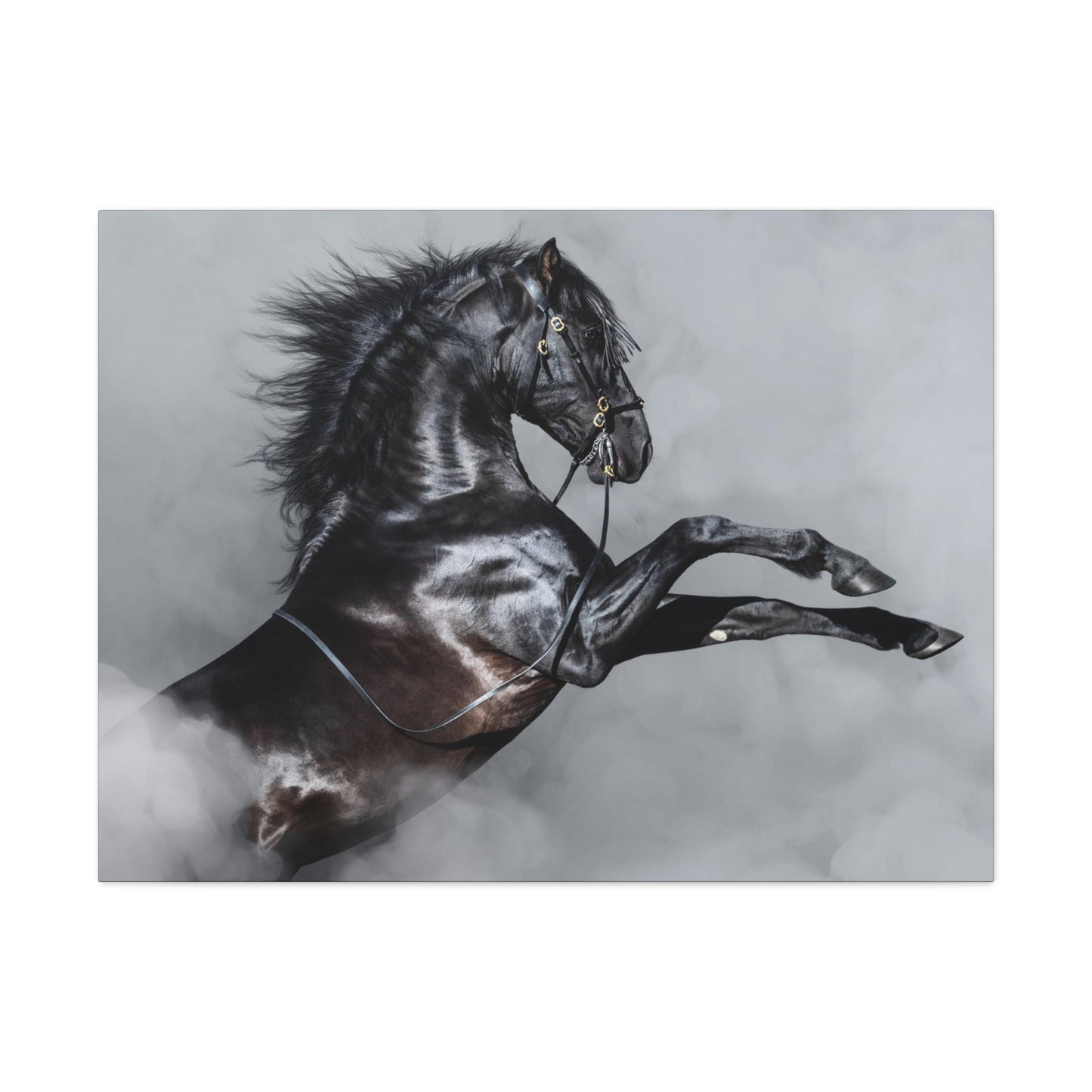 Black Horse rearing in Fog - Canvas