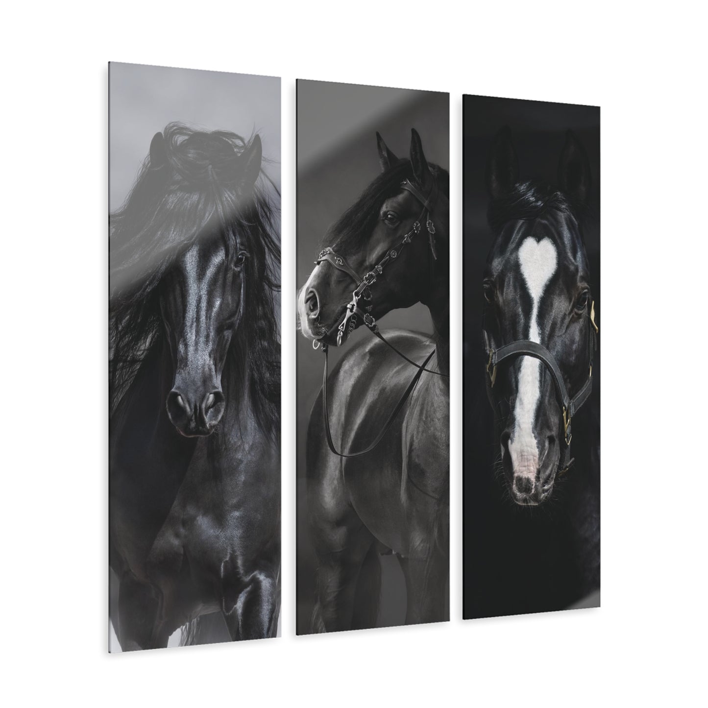 Black Horse Acrylic Prints (Triptych)