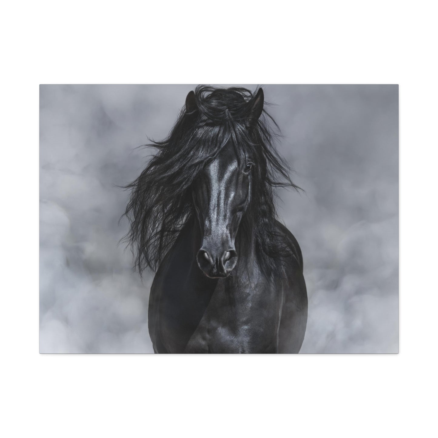 Black Horse in Black and White - Canvas
