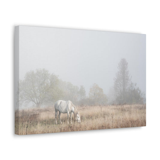 White Horse Foggy Meadow - Canvas