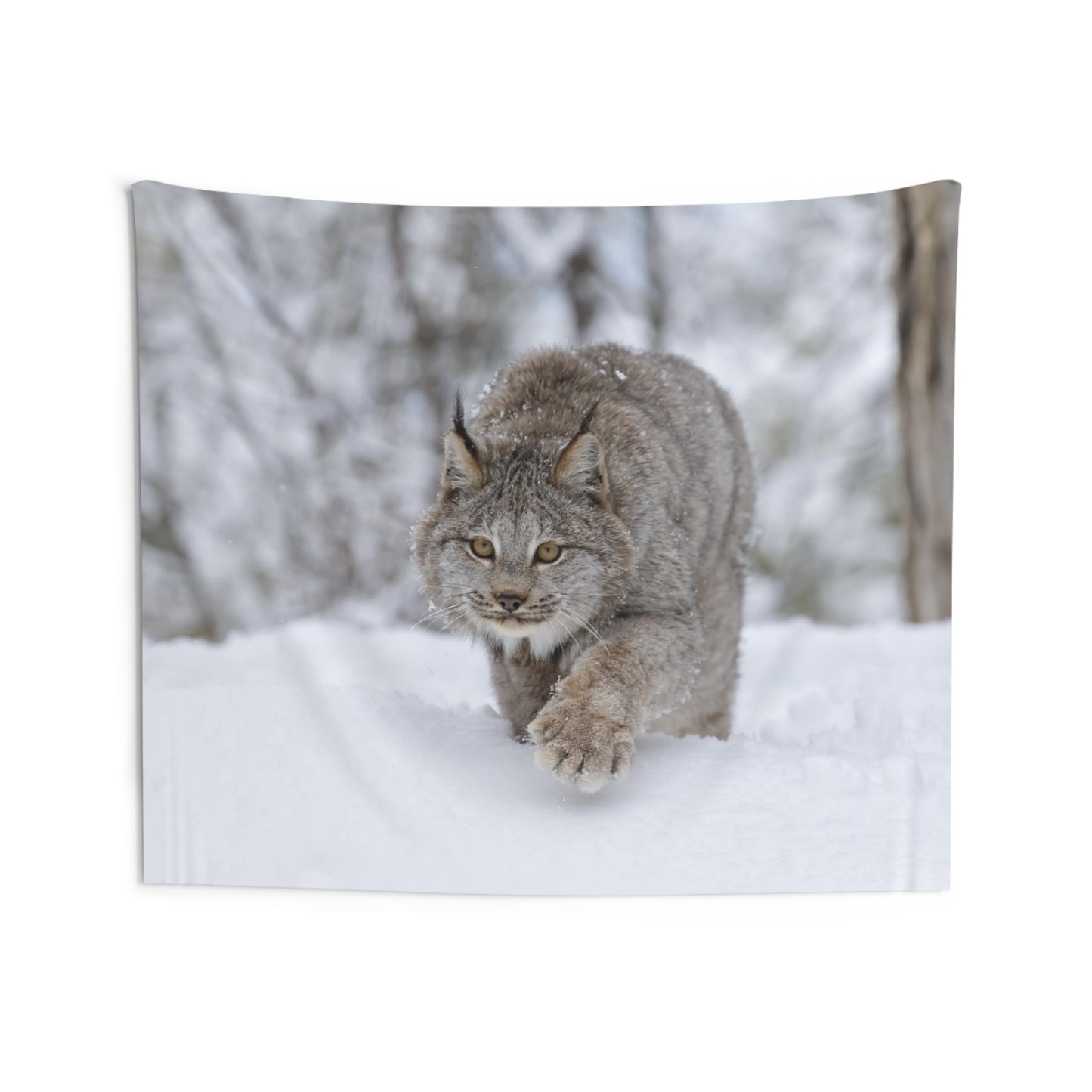 Winter Lynx Indoor Wall Tapestries
