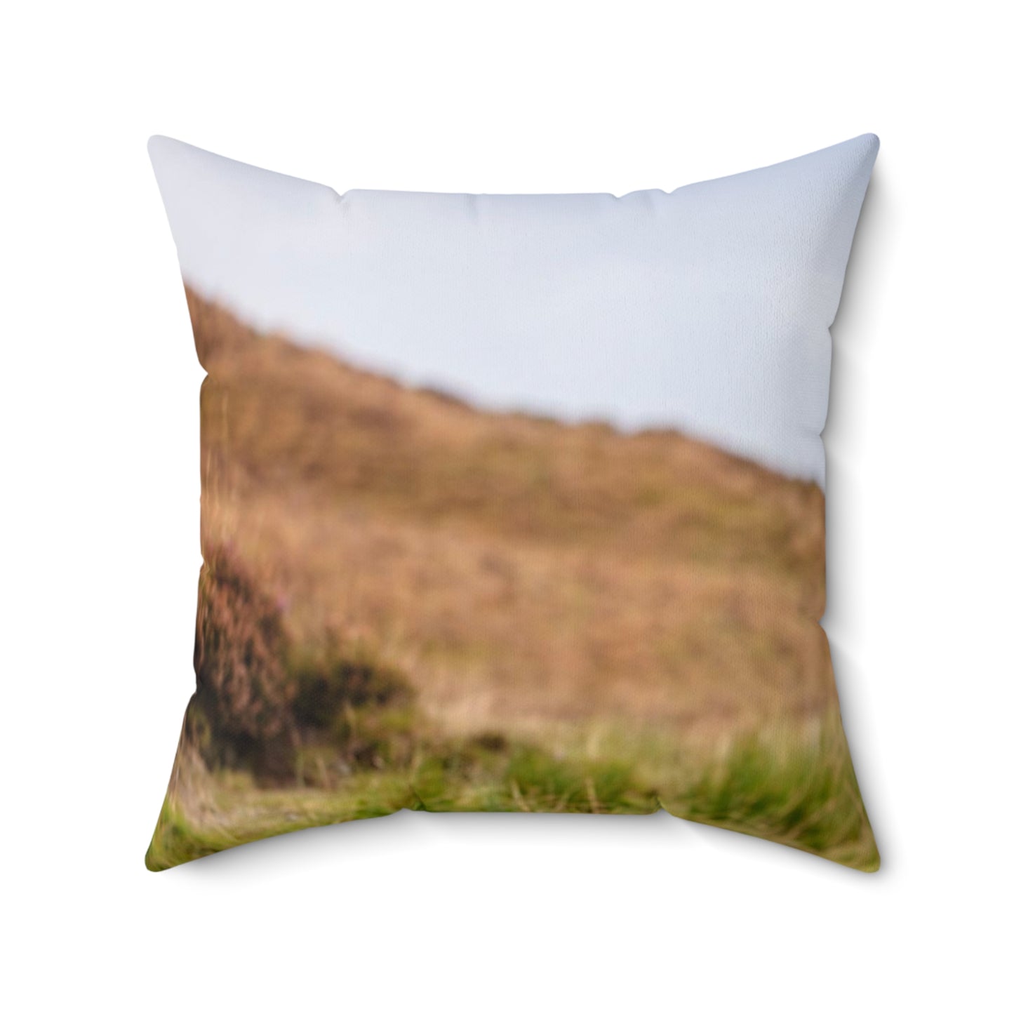 The Highland Cow  Square Pillow