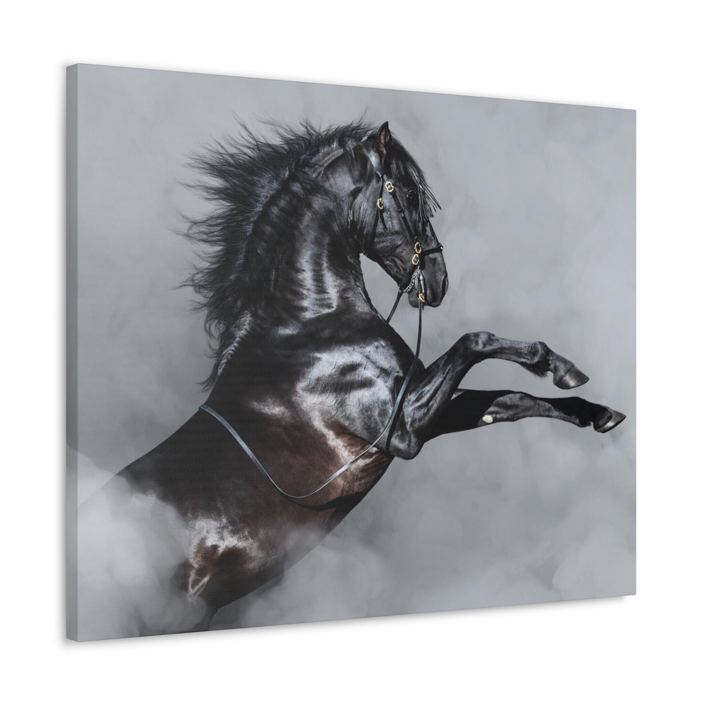 Black Horse rearing in Fog - Canvas