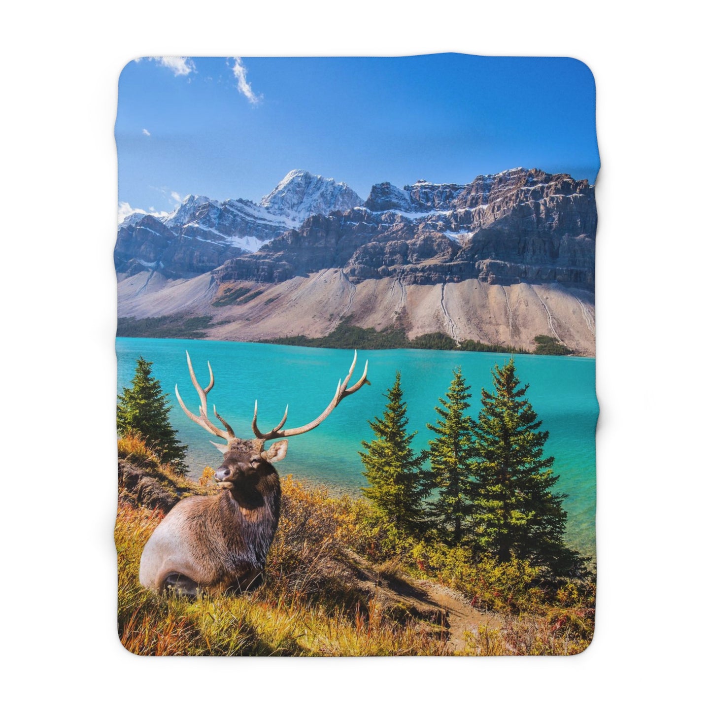 Moose in the Canadian Rockies Sherpa Fleece Blanket for Home