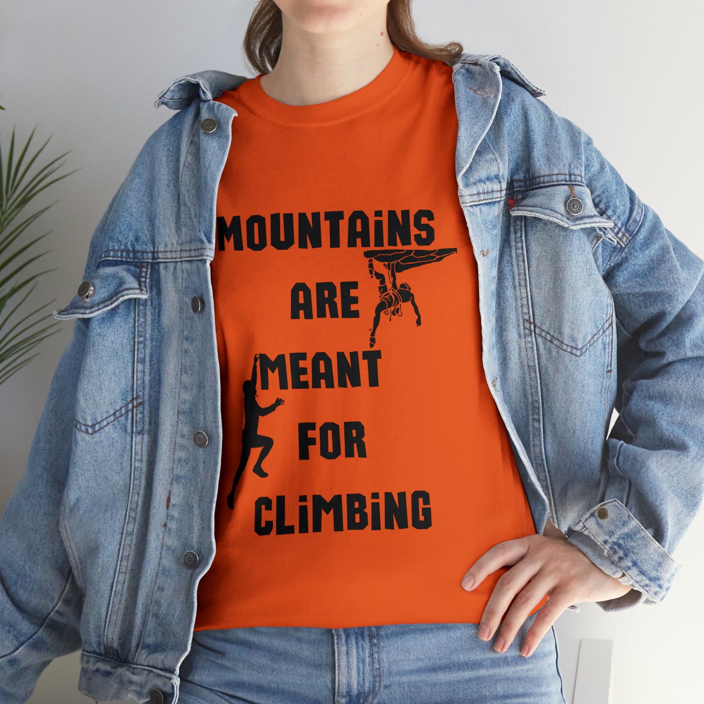 Mountains are Meant For Climbing