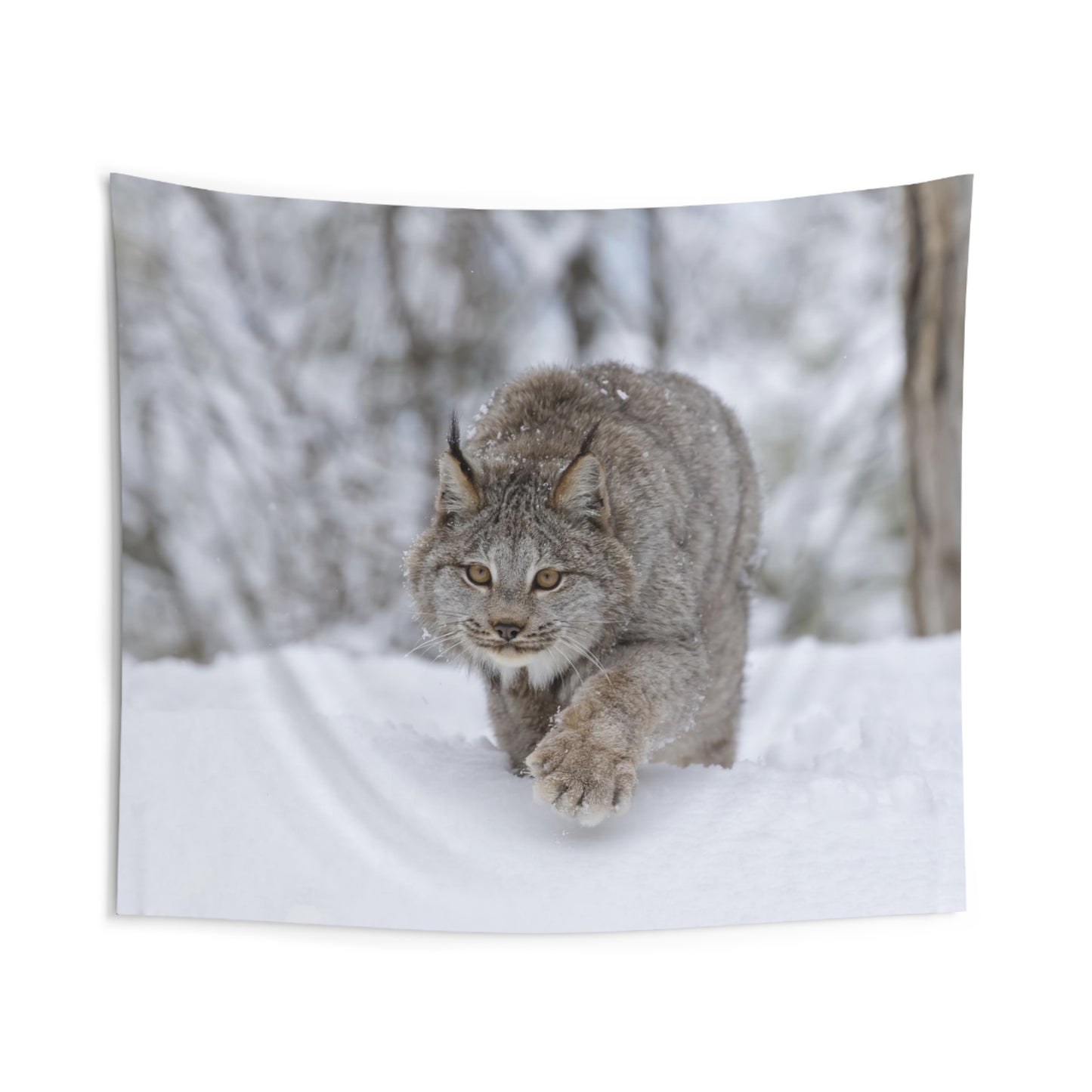 Winter Lynx Indoor Wall Tapestries