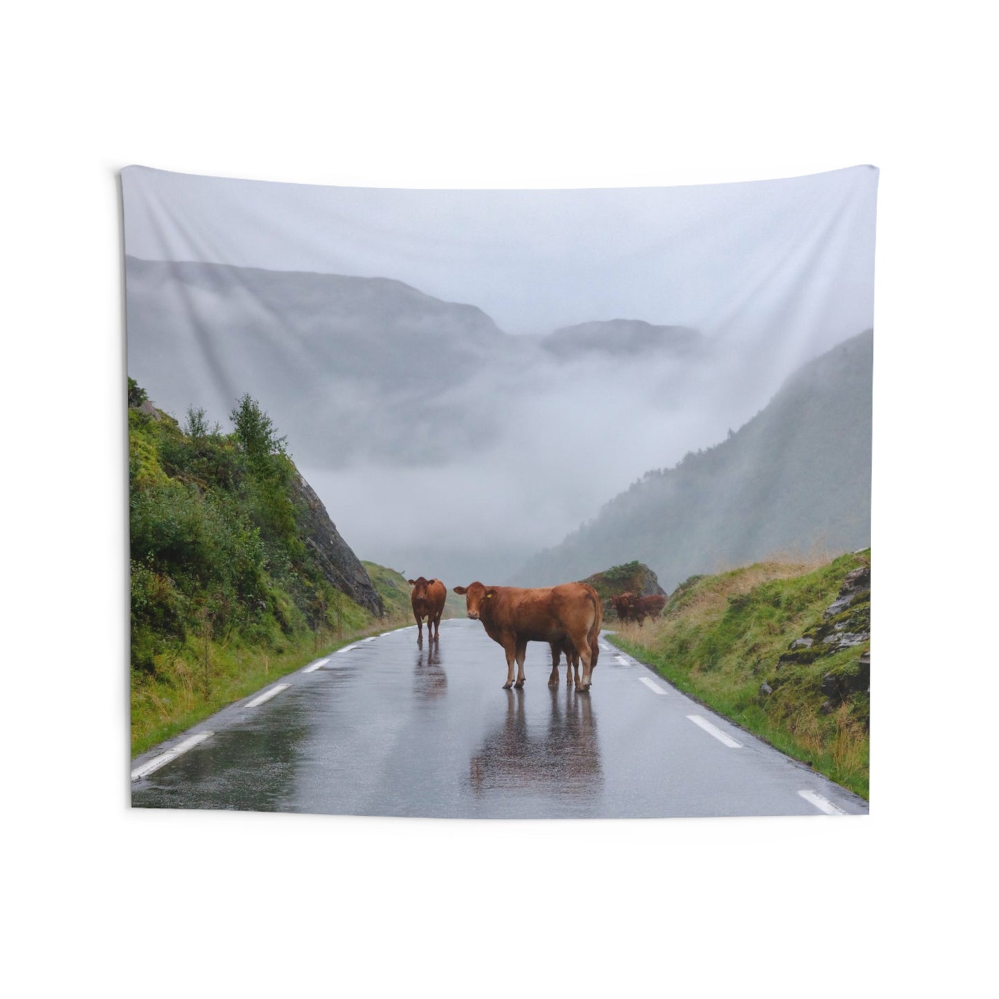 Alberta Cows Indoor Wall Tapestries