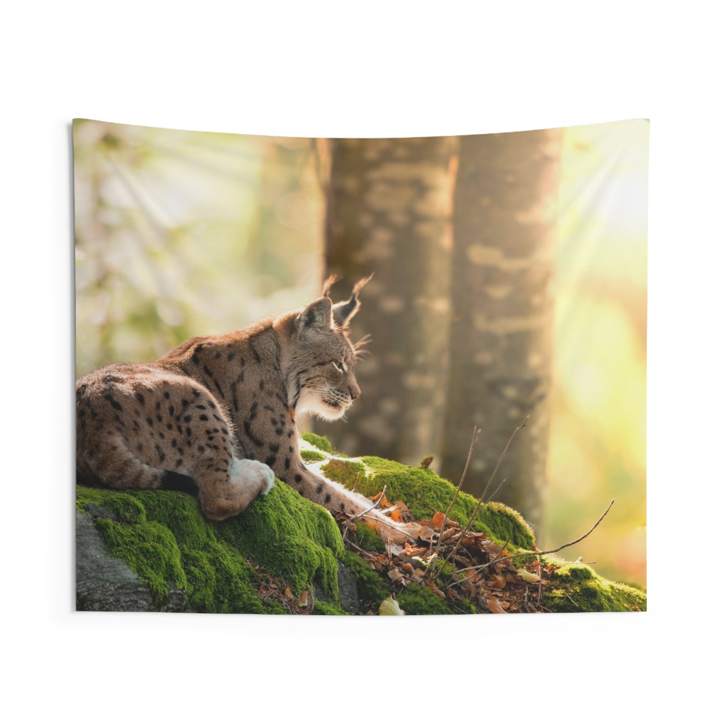 Lynx Indoor Wall Tapestries