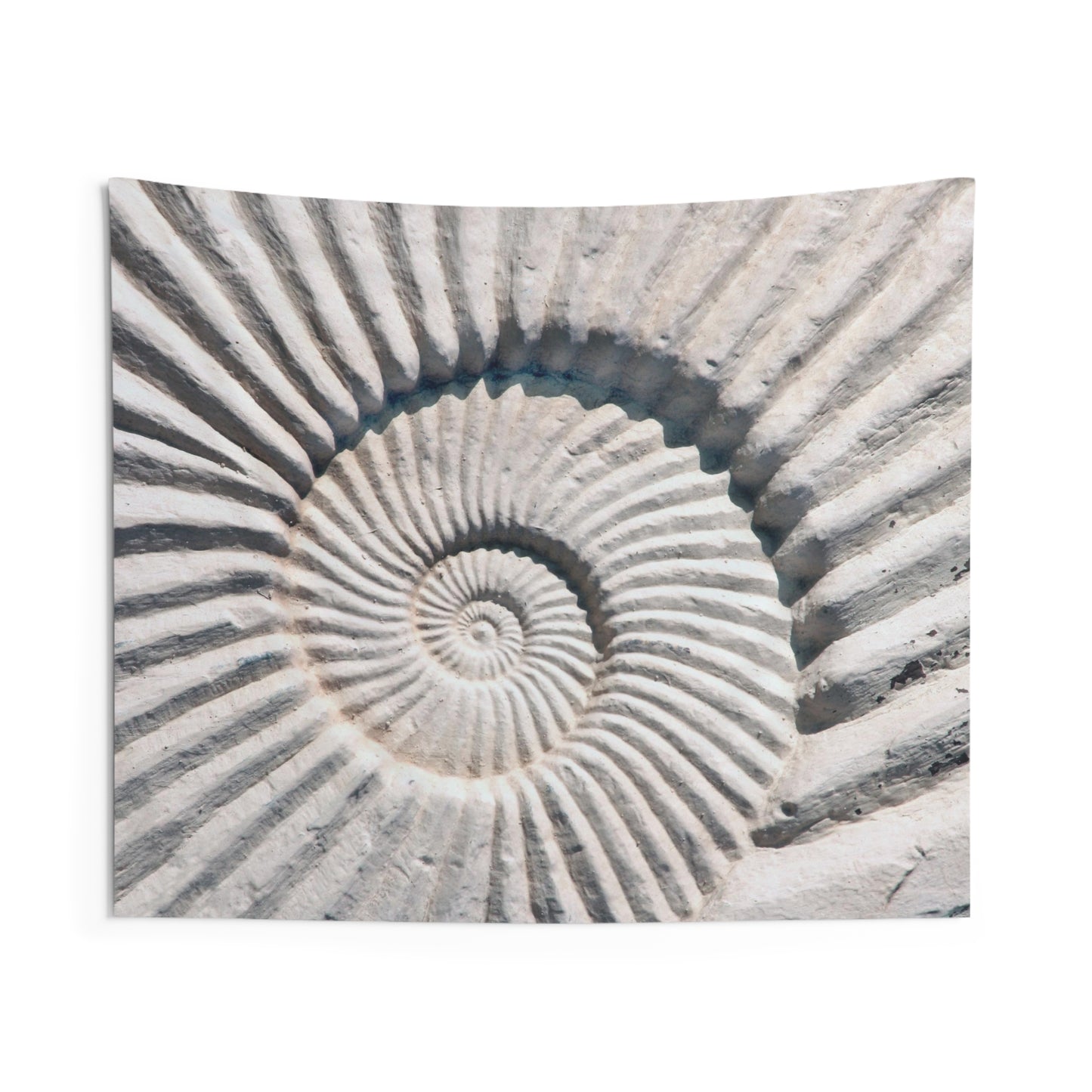 Ammonite Indoor Wall Tapestries
