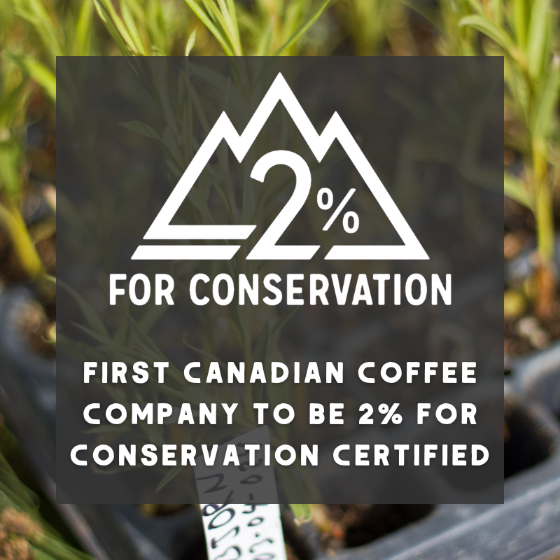 Salmon Run - Organic Coffee (MED)