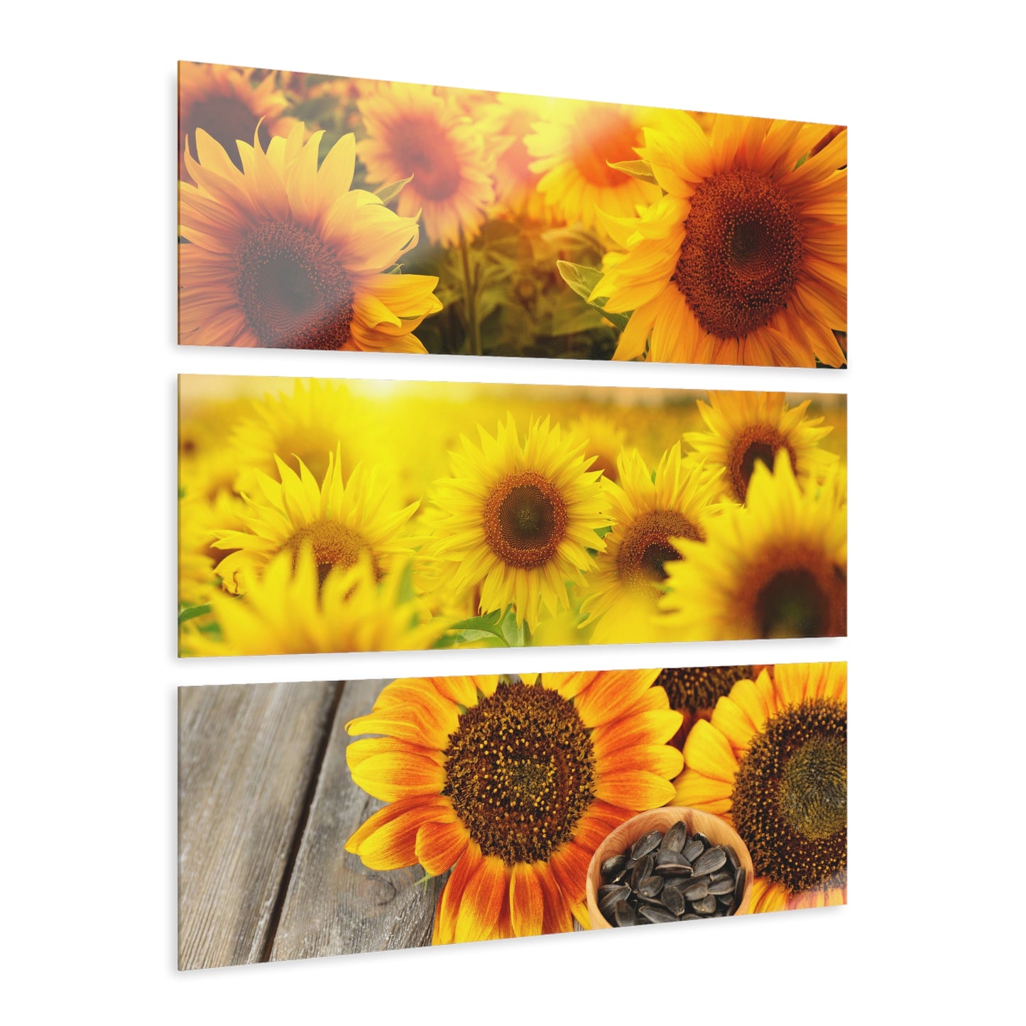 Sunflowers Acrylic Prints (Triptych)