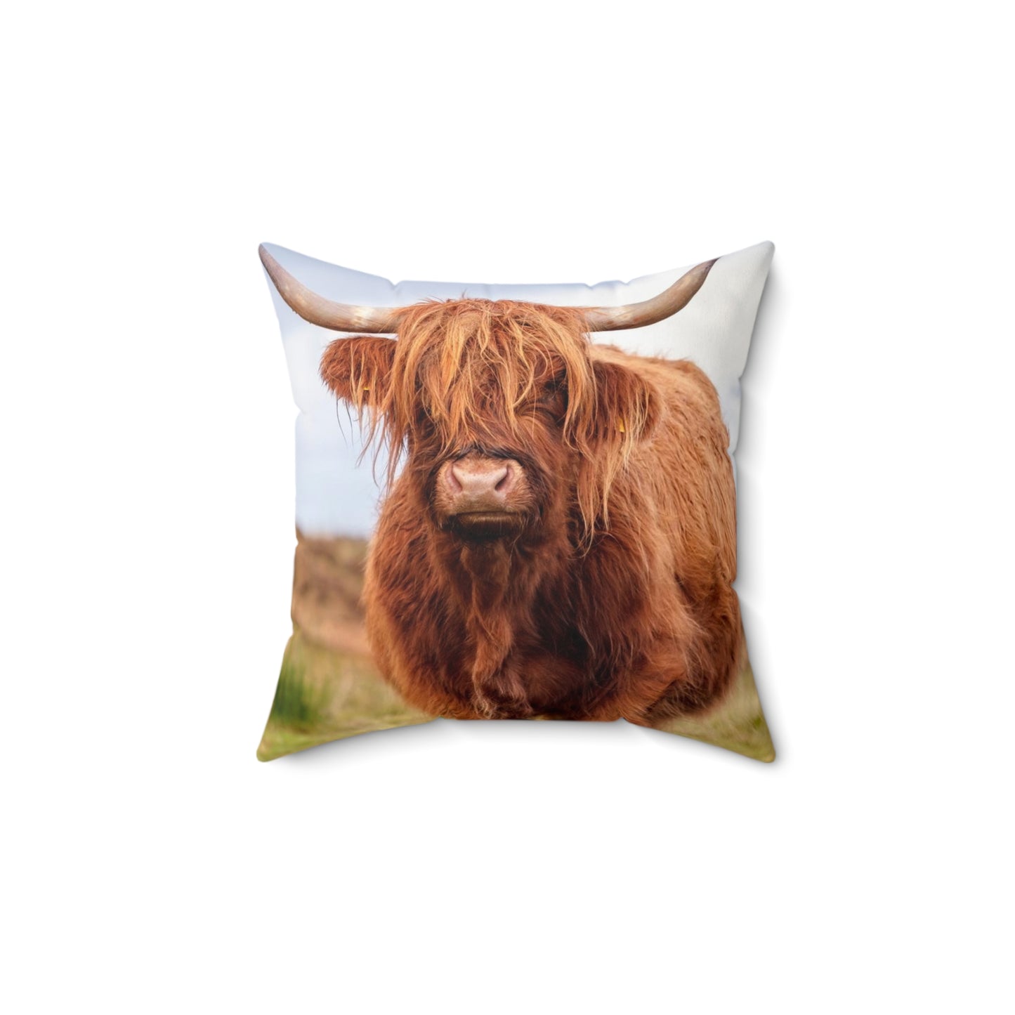 The Highland Cow  Square Pillow