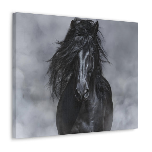 Black Horse in Black and White - Canvas