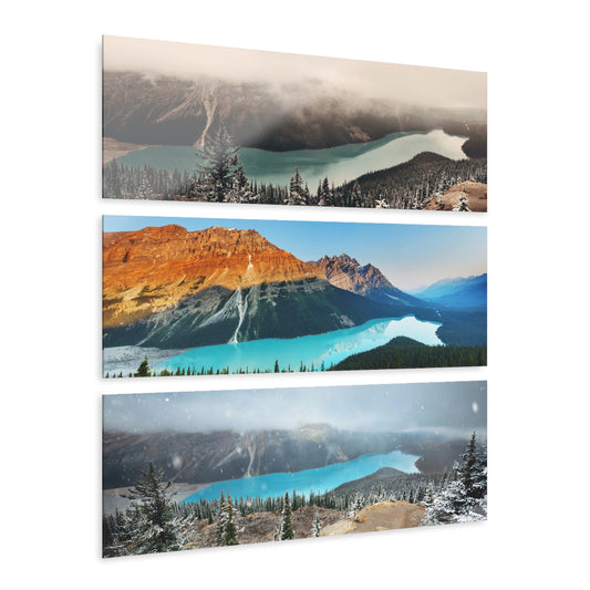 Peyto Lake Acrylic Prints (Triptych)