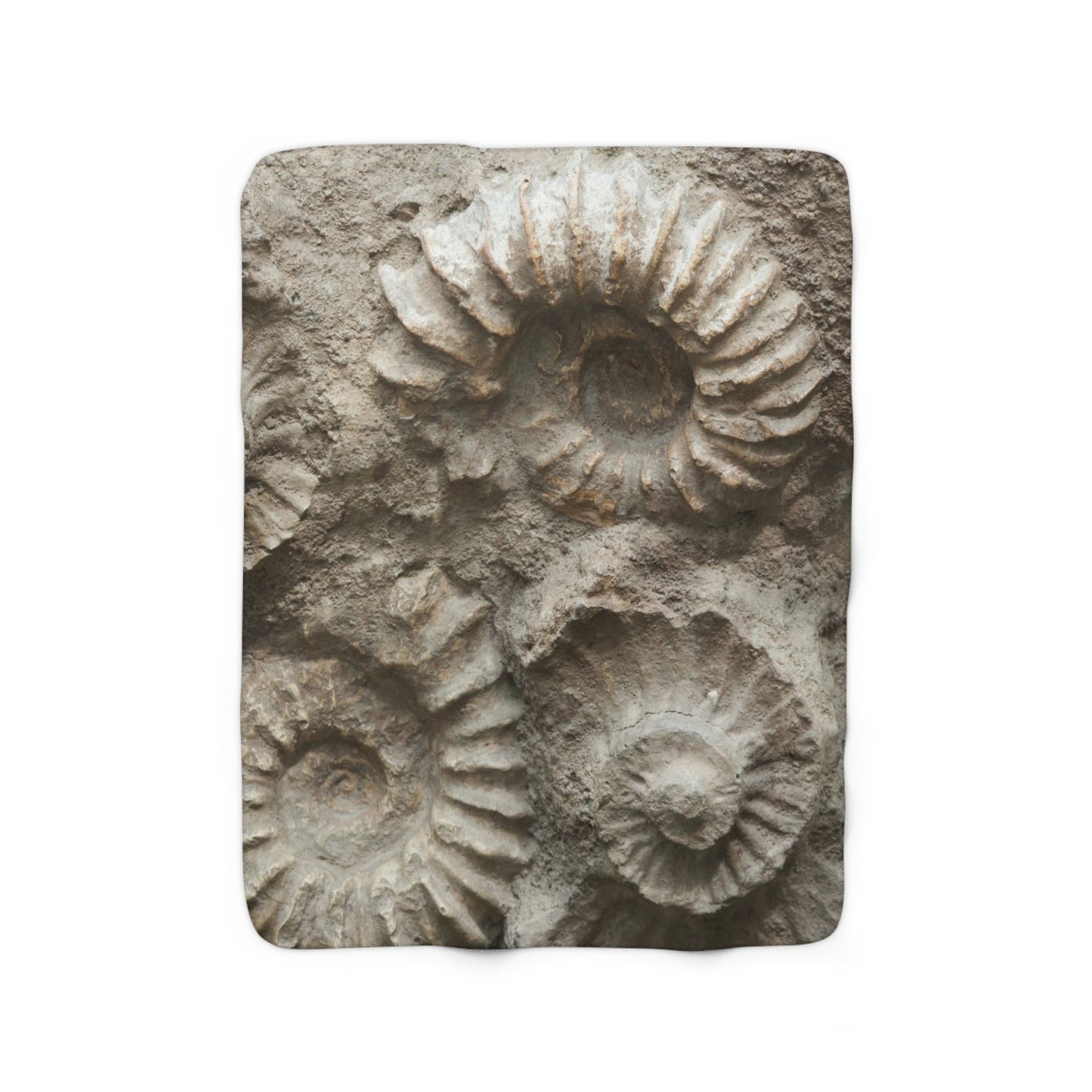 Ammonite fossil Sherpa Fleece Blanket