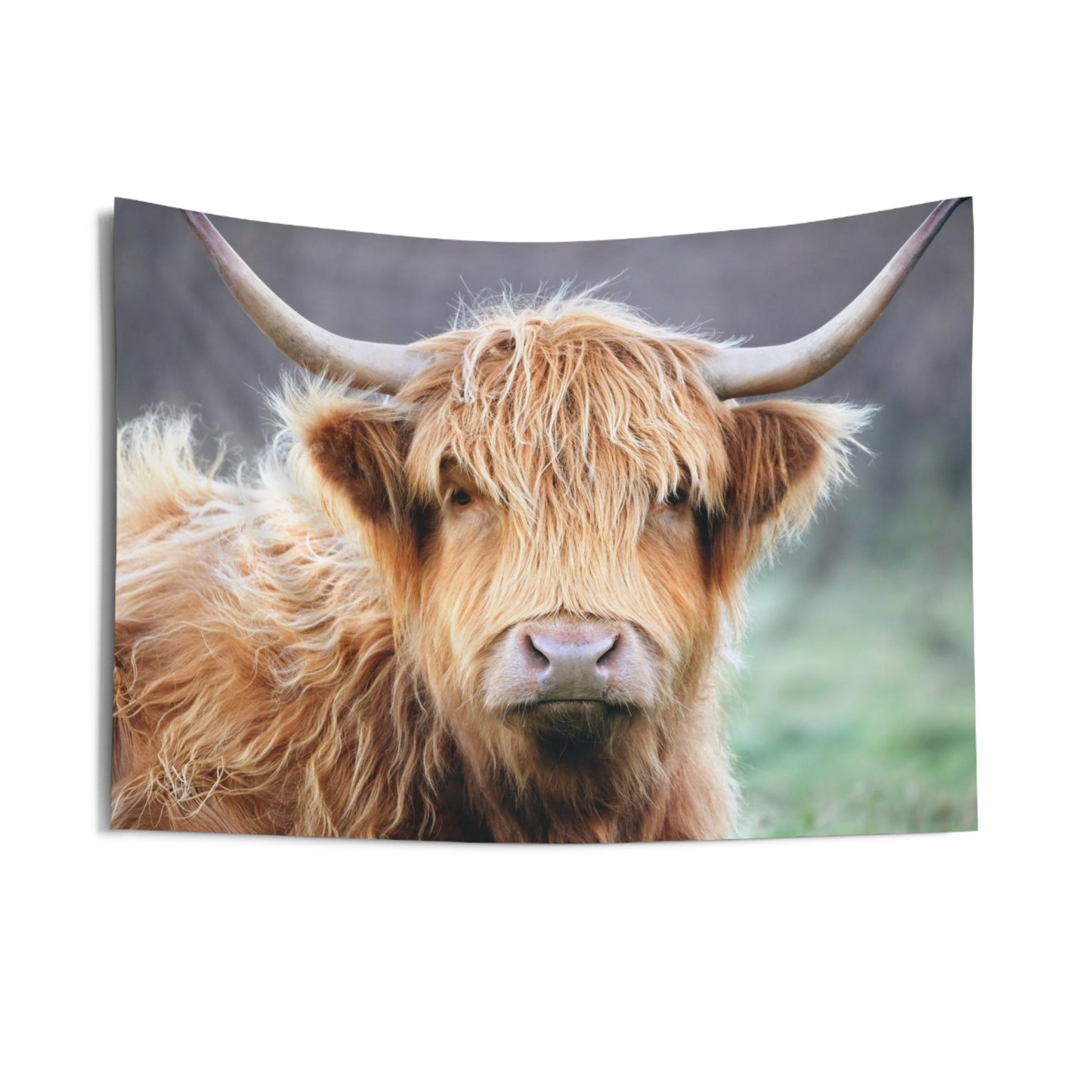 Highland Cow Indoor Wall Tapestries