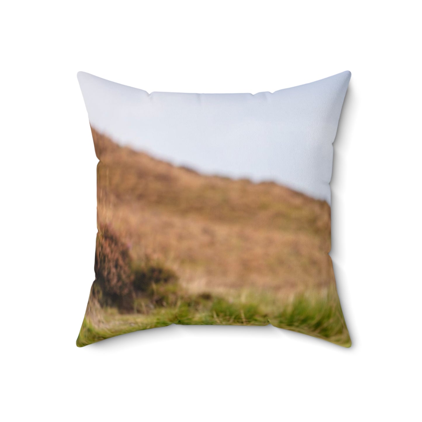 The Highland Cow  Square Pillow