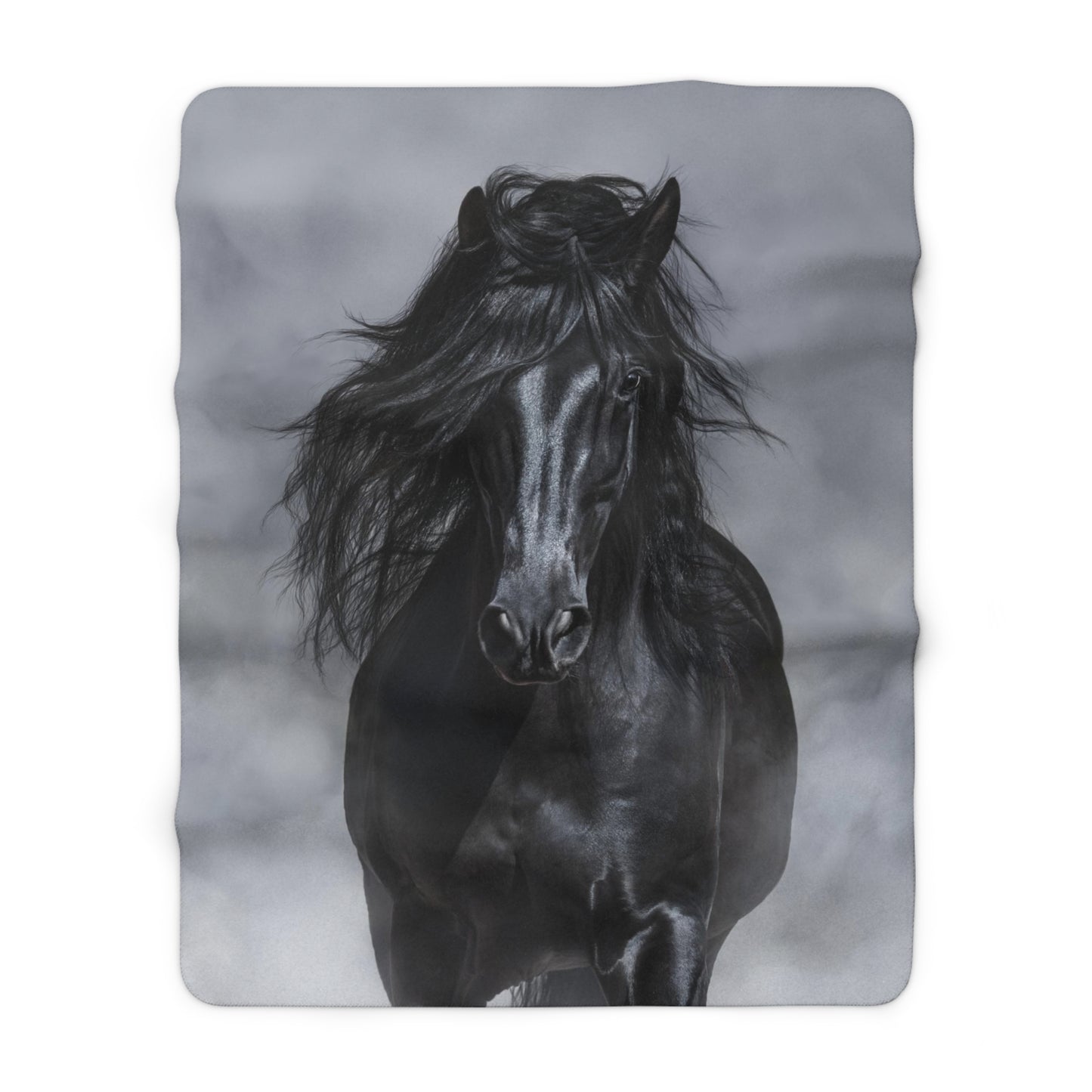 Black and White Black Stallion Sherpa Fleece Blanket for Home