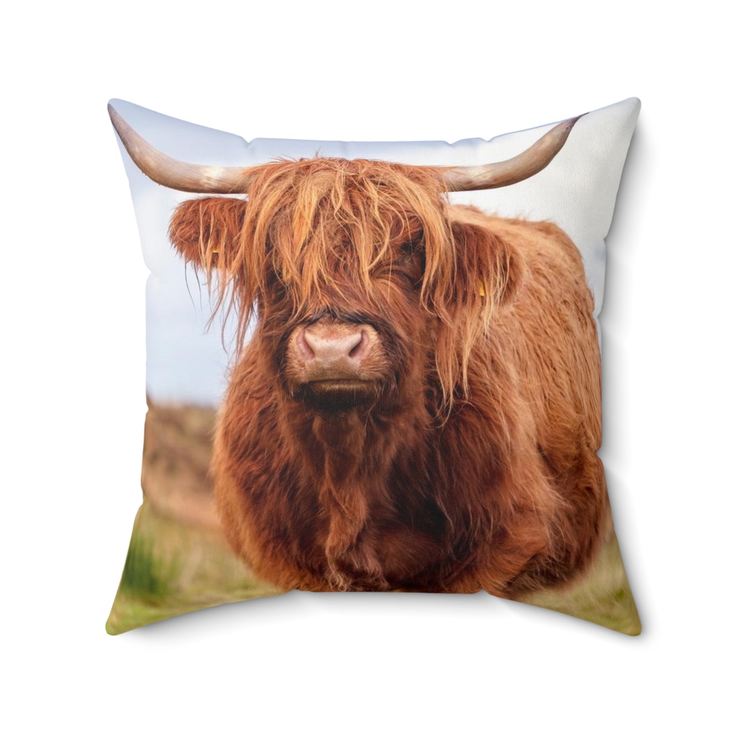 The Highland Cow  Square Pillow