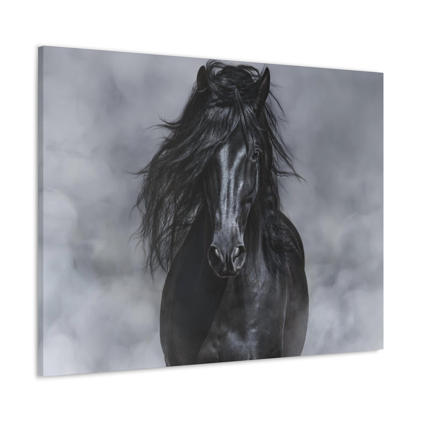 Black Horse in Black and White - Canvas