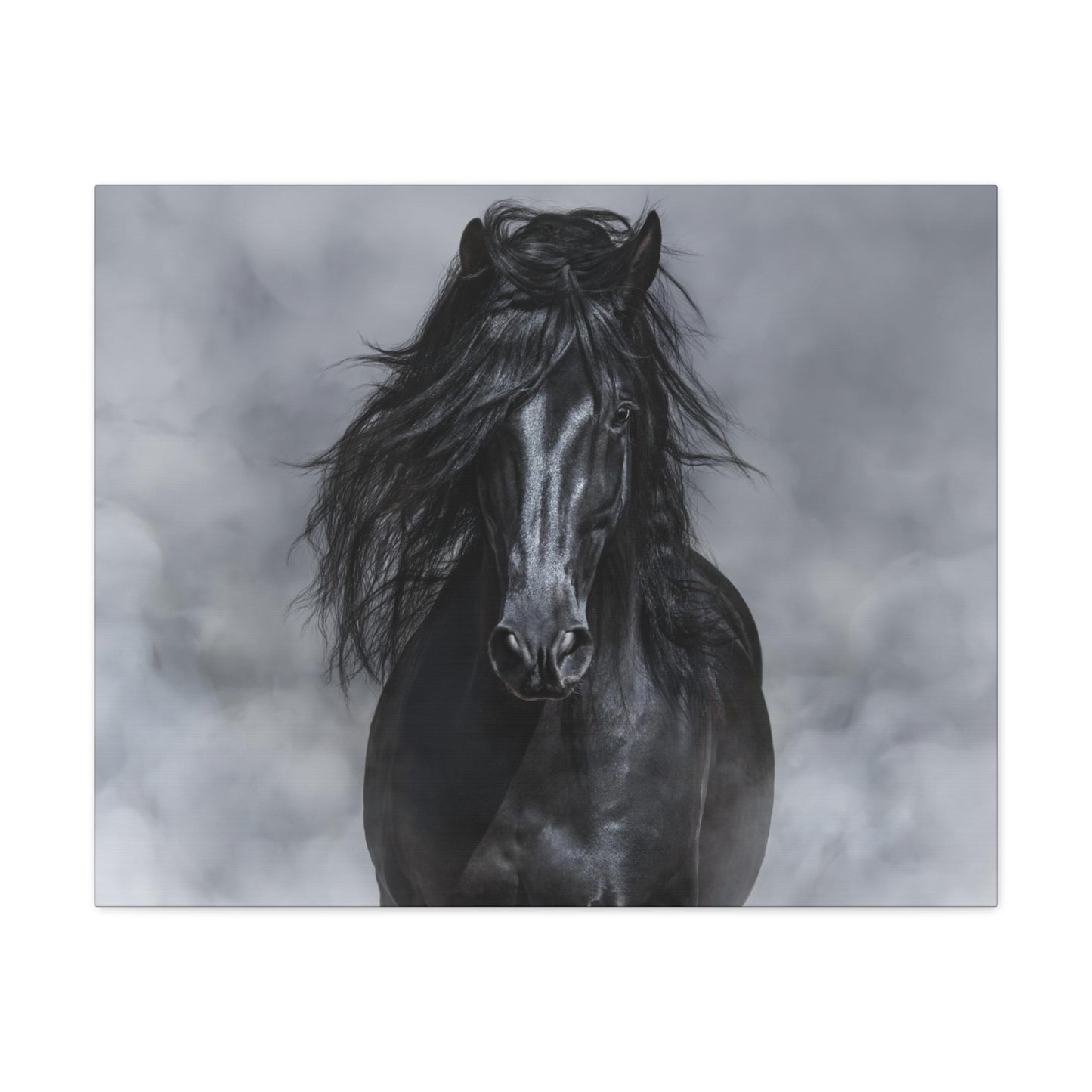 Black Horse in Black and White - Canvas