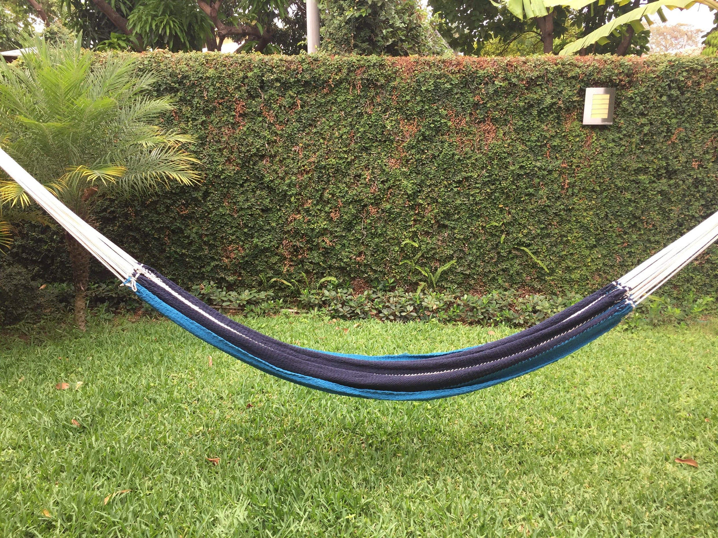 Nicaraguan Hammock - Deluxe Hammock Universe Canada