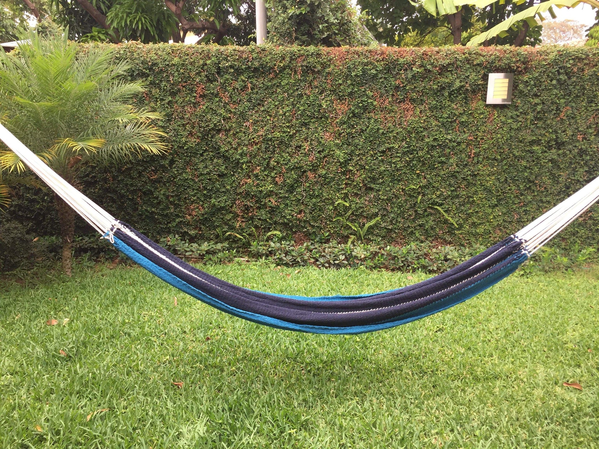 Nicaraguan Hammock - Deluxe Hammock Universe Canada
