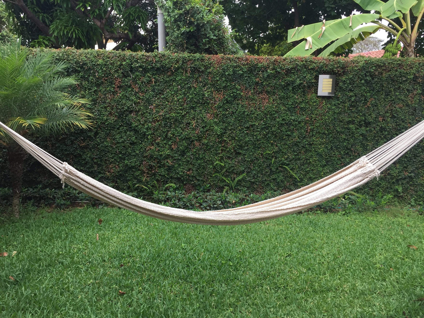 Nicaraguan Hammock - Deluxe Hammock Universe Canada