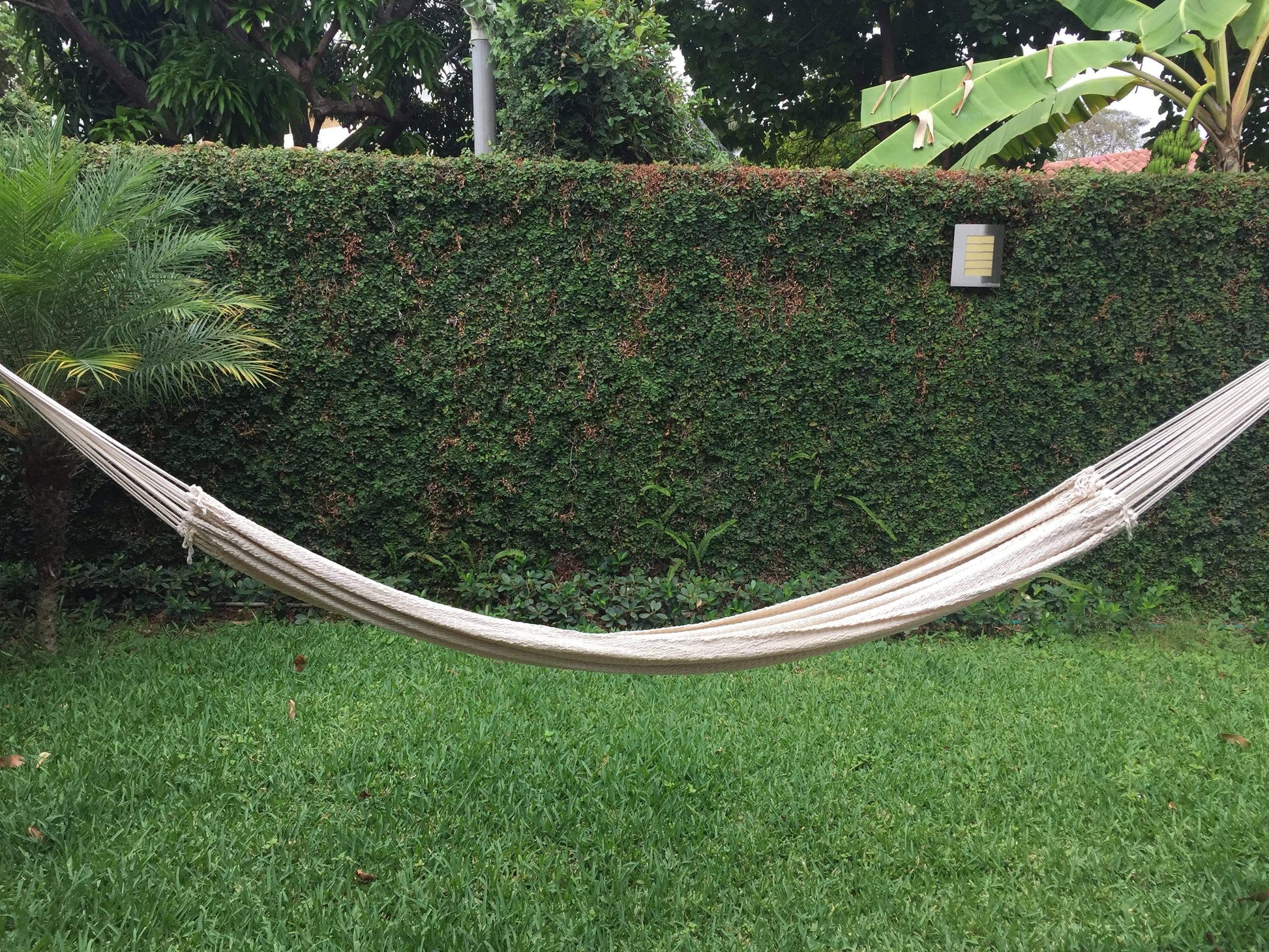 Nicaraguan Hammock - Deluxe Hammock Universe Canada