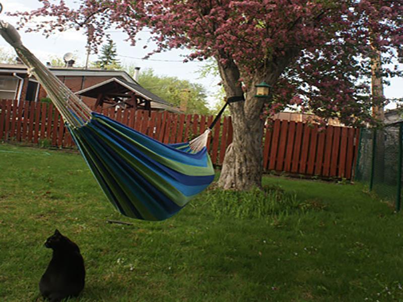 Deluxe Brazilian Style Double Hammock Hammock Universe Canada